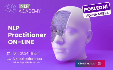 NLP Practitioner ON-LINE 2024